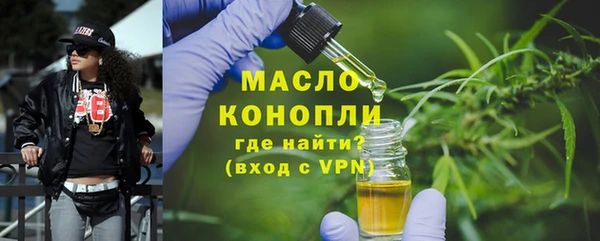 индика Медвежьегорск