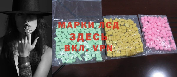 индика Медвежьегорск