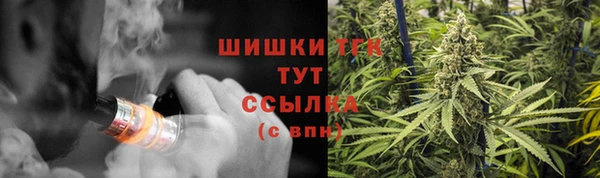 мдпв Мегион