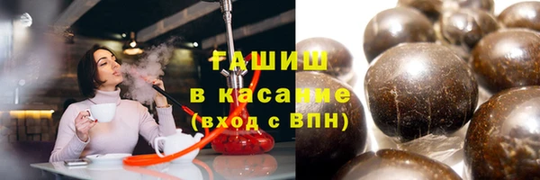 индика Медвежьегорск