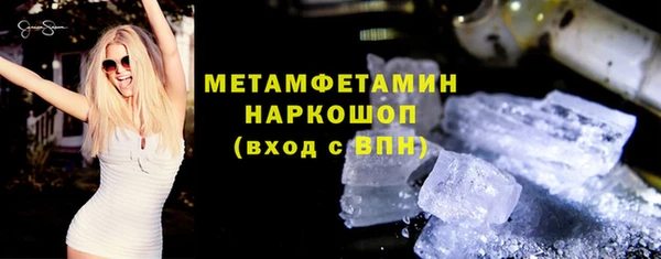 индика Медвежьегорск
