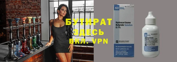 индика Медвежьегорск