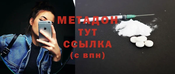индика Медвежьегорск