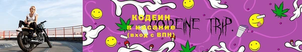 индика Медвежьегорск