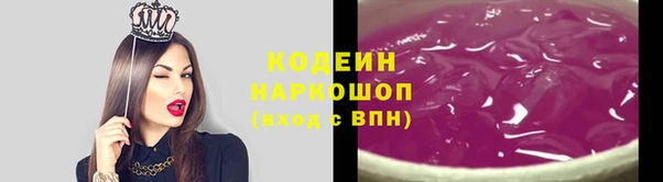 индика Медвежьегорск