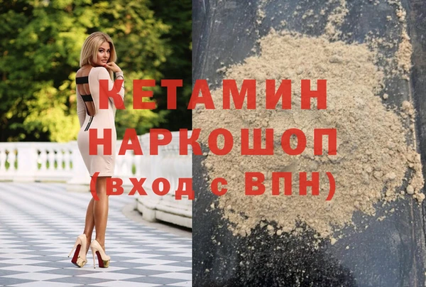 индика Медвежьегорск