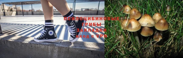 ешки Медногорск
