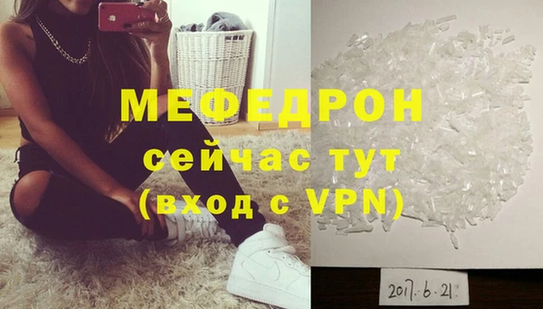 индика Медвежьегорск