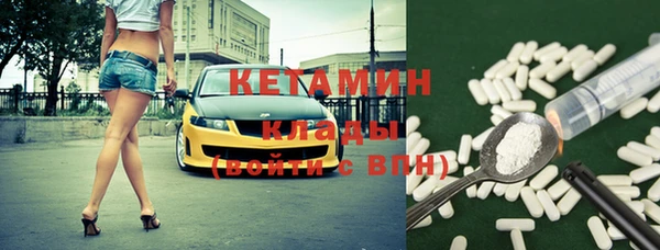 индика Медвежьегорск
