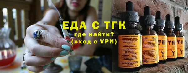 индика Медвежьегорск
