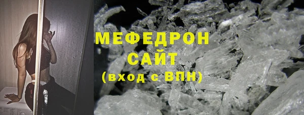 индика Медвежьегорск